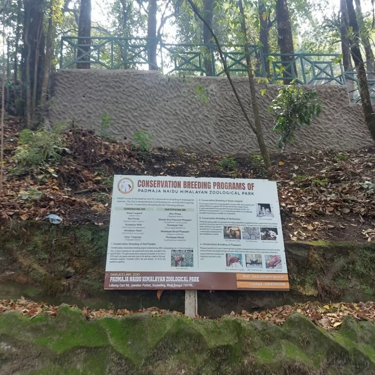 Darjeeling Zoo breeding