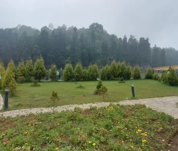 Mirik garden