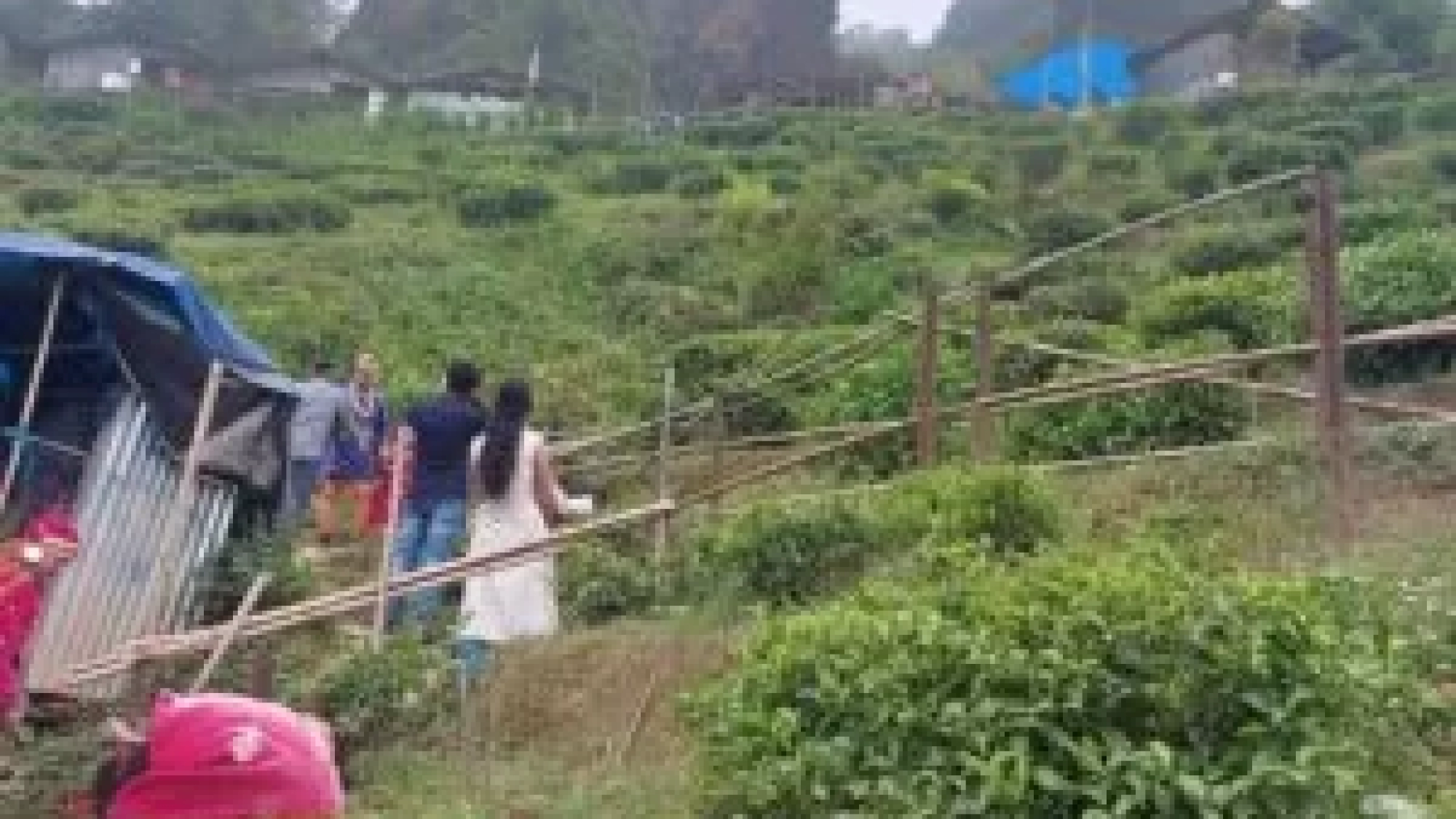 Rangeet valley dress