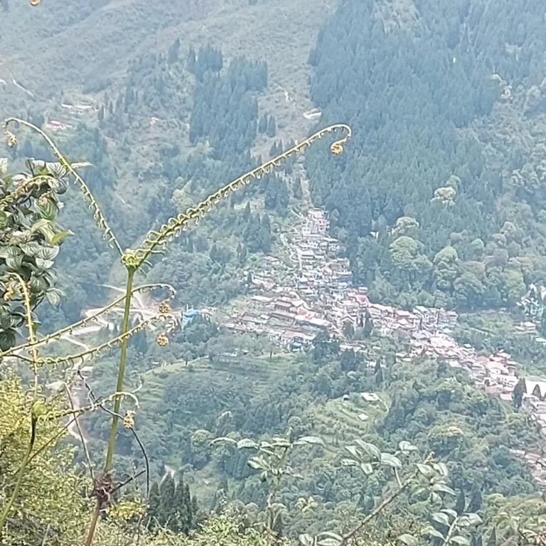 Simana view point houses