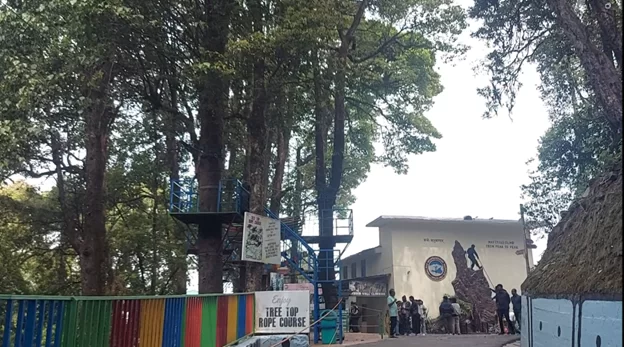 Tree top rope walk
