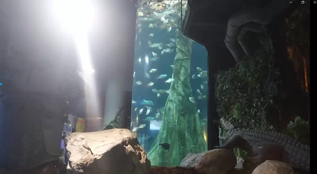 Vertical Aquarium Aquaria KLCC