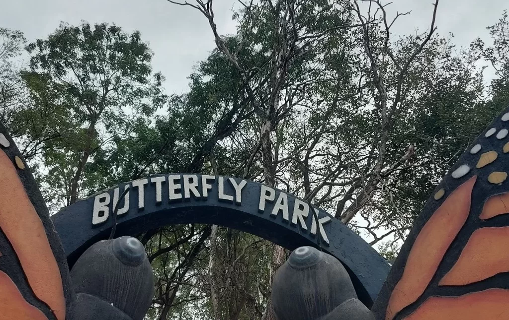 Butterfly Park