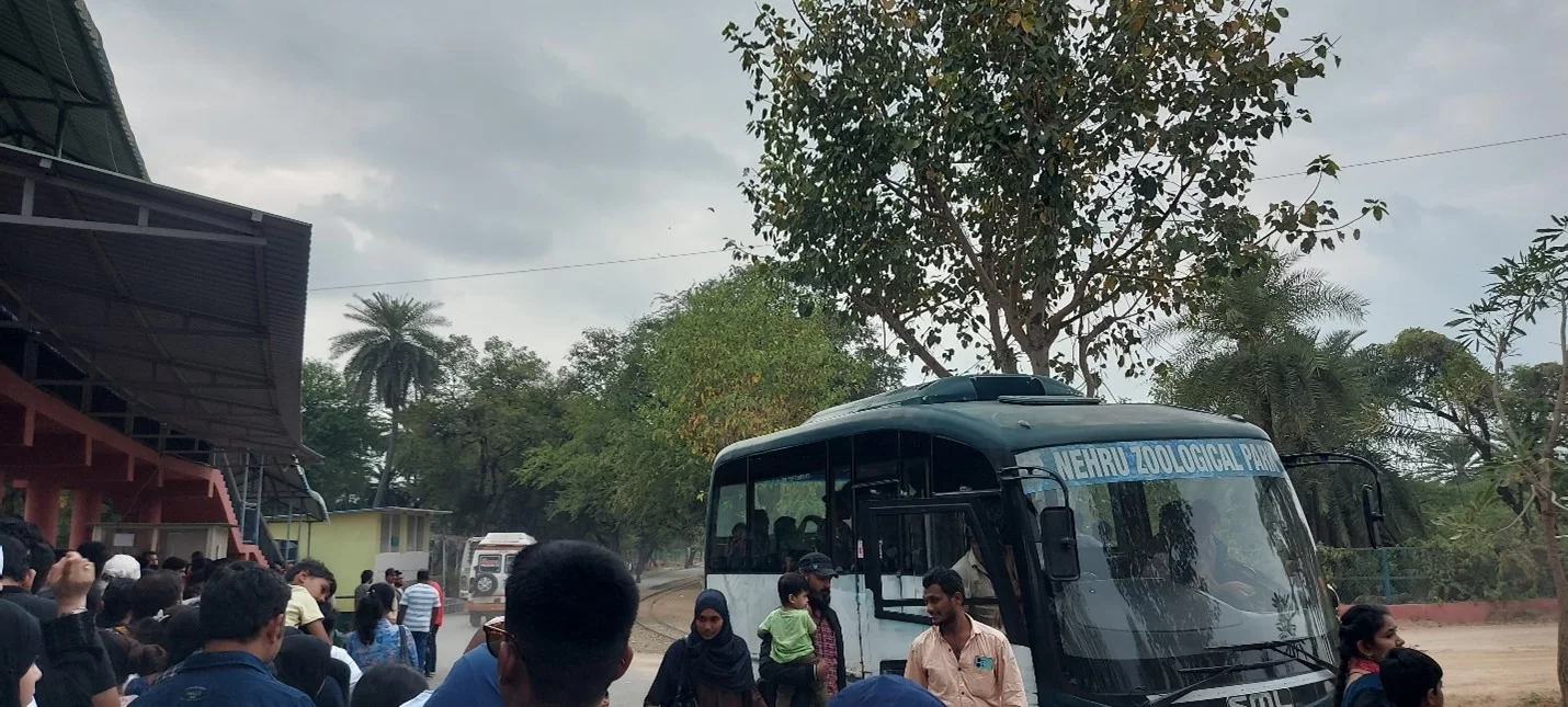Safari Bus